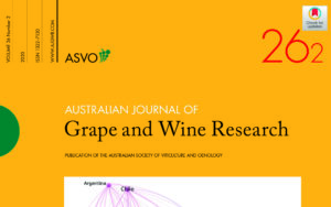 España lidera la investigación científica sobre vino en el mundo
