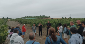 La Jornada de Viticultura inclusiva para personas sordas promueve la integración laboral en el entorno rural